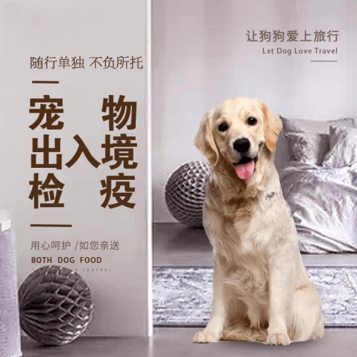 静安区宠物托运到哥伦比亚猫狗宠物入境规定和