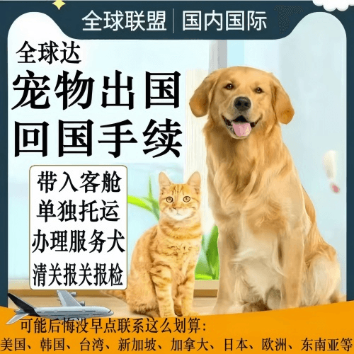 静安区宠物托运到柬埔寨宠物入境规定和要求