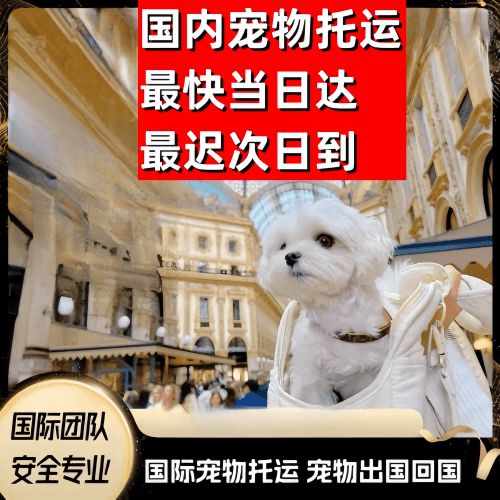 静安区到澳大利亚（澳洲）宠物入境规定和要求